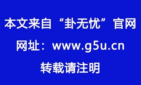 1982年属|1982年属什么生肖